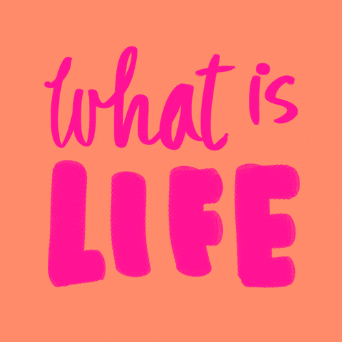 what is life humor GIF by Denyse
