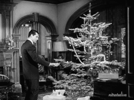 Christmas Tree Movie GIF