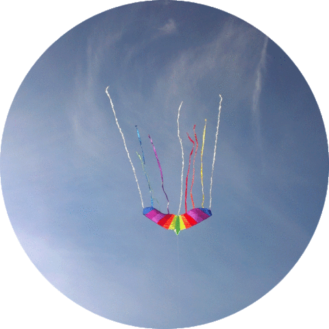 ChristianRug color fly free sky Sticker
