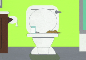 poop toilet GIF by South Park 