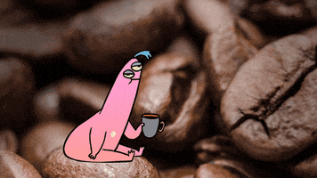 GIF by Noam Sussman