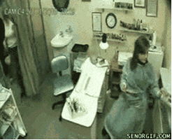 thinhnt27  GIF