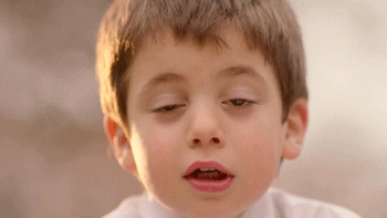 patineta-net no se peleen GIF