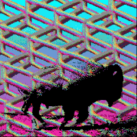 buffalo GIF by Xenoself