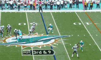 doxellis  GIF