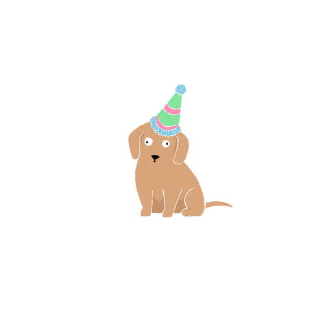 Happy Birthday Gif By Thoka Maer Find Share On Giphy