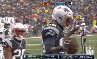 new england patriots dancing GIF by NFL