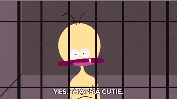 excited jail GIF by South Park 