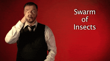 sign language swarm of insects GIF by Sign with Robert