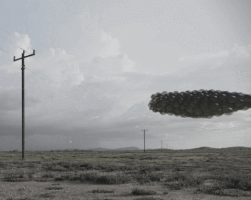 likesenape fly dream whale away GIF