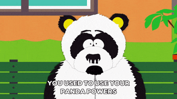 panda sitting GIF by South Park 