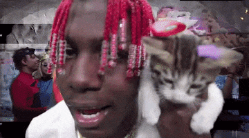 Lil Yachty Cat GIF by Danny Chang