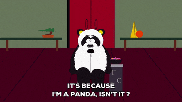 panda GIF by South Park 