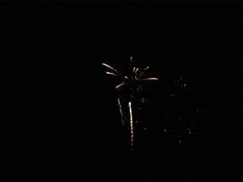 arandora  GIF