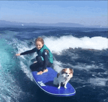 Bad Ass Water GIF by The BarkPost
