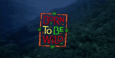 born to be wild GIF by Warner Archive