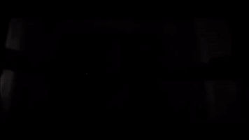 dss  GIF