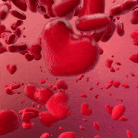 200.gif?cid=f0bdee70py0ekczs576h5ew71ykrxe7bt7065xk2ripyjlau&rid=200.gif&ct=g
