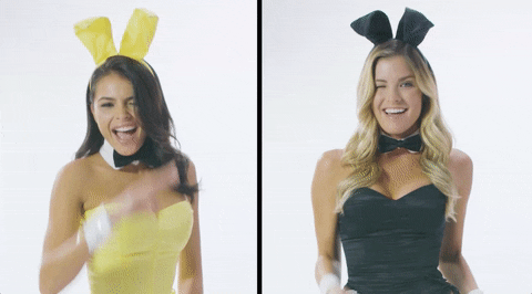 playboy bunny meaning, definitions, synonyms
