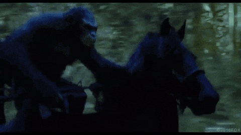 giphy.gif
