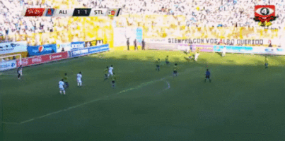 Walo alianza lmf santa tecla apertura 2016 GIF