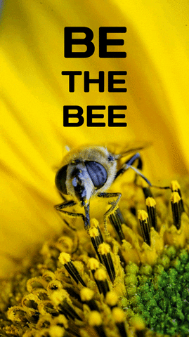 c2noyw1wbwljagvsqgdtywlslmnvbq work life the inspiration GIF