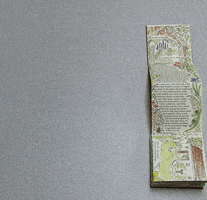 200.gif?cid=fc005b080f412f5bc5f4909a813c8477596b48ac2c1cae05&rid=200.gif&ct=g