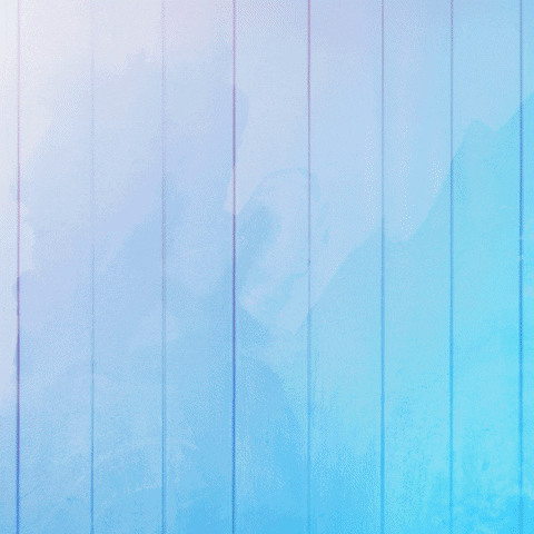 Youtube Love GIF by Out of My League