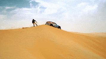 Sandboarding GIF by Red Bull