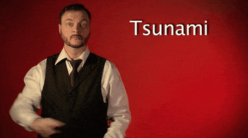 sign language tsunami GIF by Sign with Robert