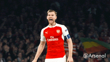 yelling per mertesacker GIF by Arsenal