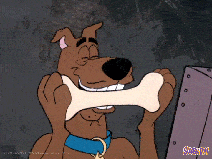 Hungry Dog GIF by Scooby-Doo - Find & Share on GIPHY