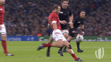 new zealand try GIF by World Rugby