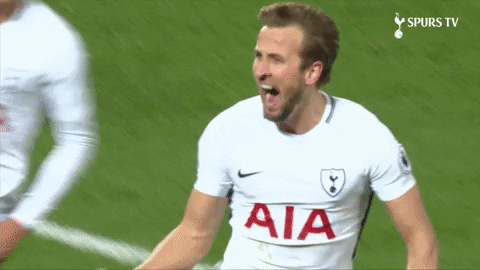 Harry Kane Goalkeeping Genius GIFs - Get the best GIF on GIPHY