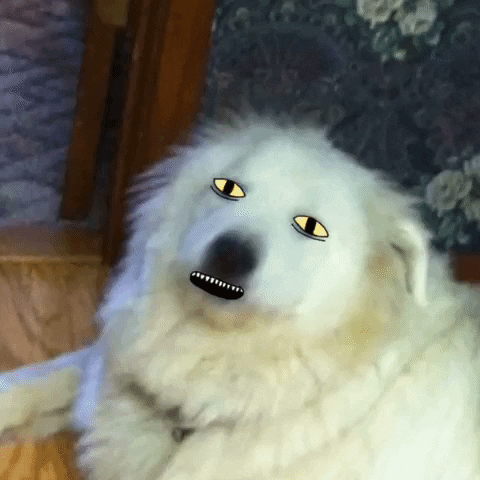Video gif. A dog that's been edited to have illustrated yellow eyes, many small teeth, and a long tongue stare at us while the tongue sticks out and wags. 