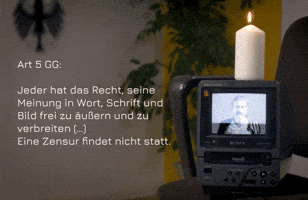 Idil Baydar Artikel 5 GIF