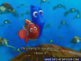 kpetersen austin finding nemo austin federa austin what GIF