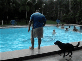 enzo  GIF
