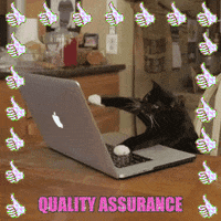 chuber-qa-quality-assurance-3o7WTL4qQCbbLLV2Pm