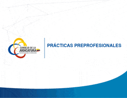 jsandovalcom ecuador cj consejo practicas GIF
