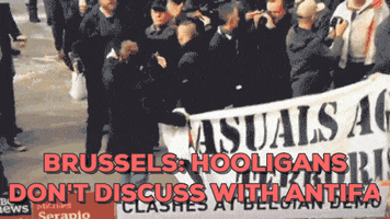 rolandwurther brussels antifa belgique hooligans GIF