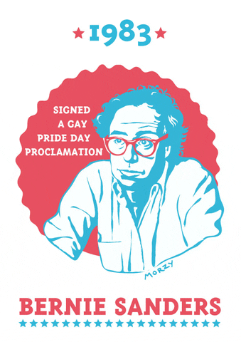 alexandremorzy morzy.bernie.vs.hillary.lgbt.rights GIF