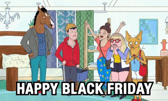 black friday GIF by BoJack Horseman