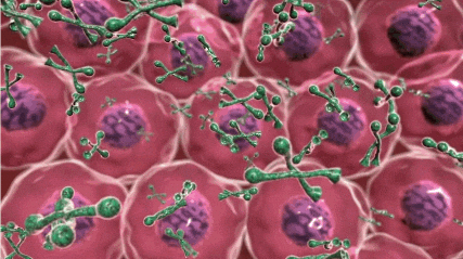 Stem Cells Gifs Get The Best Gif On Giphy