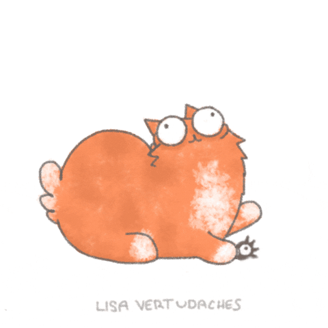 cat GIF by Lisa Vertudaches