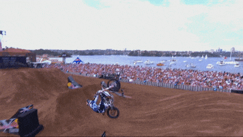 awesome like a boss GIF by Red Bull