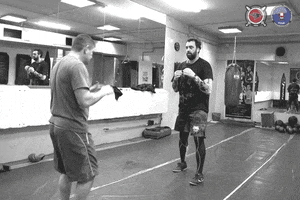 izvor-volk izvor systema kick defense michael grudev GIF