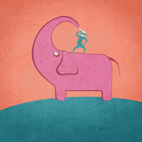 GIF by maxrazumnikov