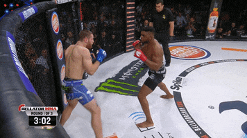 mixed martial arts mma GIF by Bellator