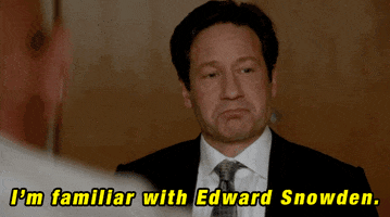 im familiar with edward snowden GIF by The X-Files